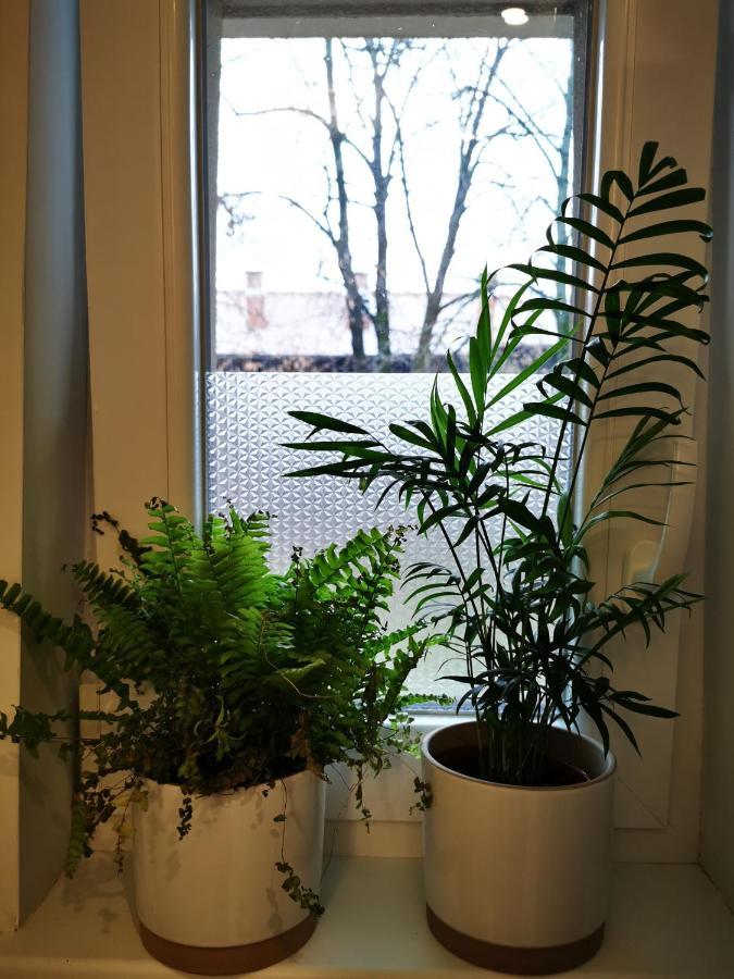 Angela Apartment 자그레브 외부 사진